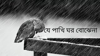 je pakhi ghor bojhena  lyrics  যে পাখি ঘর বােঝেনা Soft Lyrics  Sudhu Tomar Jonno Dhruba [upl. by Esined]