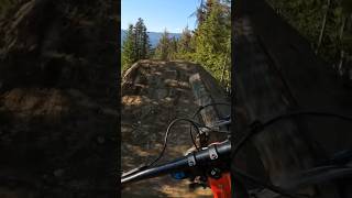 Crabapple hits 🦀🍎 whistler bike park 2024 [upl. by Mutat949]