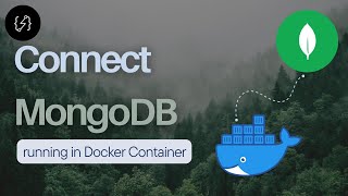 Connect to MongoDB running in Docker container [upl. by Lodhia]