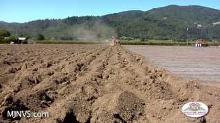 Vineyard Site Prep for Planting Stage One [upl. by Tsirc]