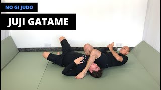 No Gi Judo  腕挫十字固  Juji Gatame Cross armlock  Armbar [upl. by Boles209]