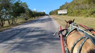 Guardalavaca Holguin Cuba April 20th 2024 [upl. by Biagi59]