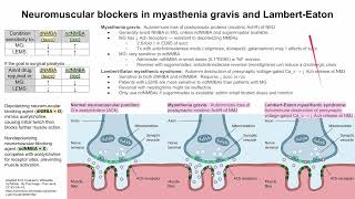 Neuromuscular blockers in myasthenia gravis and LambertEaton [upl. by Farrow]