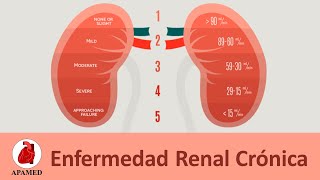 Enfermedad Renal Crónica ERC [upl. by Eustatius]