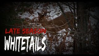 Late Season Deer Hunt With Muzzleloaders in Michigan [upl. by Geoffry992]