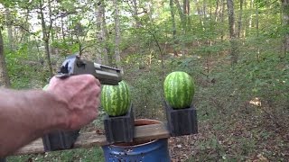 50 AE Desert Eagle vs Watermelons [upl. by Ahsir765]