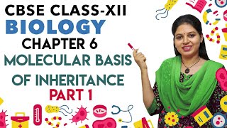 MOLECULAR BASIS OF INHERITANCE in 101 Minutes  Biology Chapter 6  Full Chapter Revision Class 12th [upl. by Carolann]