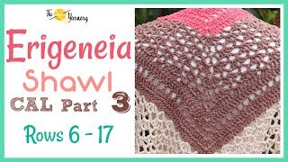 Erigeneia Shawl CAL Part THREE  Rows 6  17 [upl. by Mazel43]