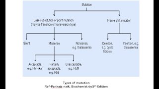 Types of Mutations Point Mutations and Frameshift Mutations  Mutations In Genetics [upl. by Ajar]