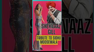 Shehnaaz Gill Tribute to Sidhu Moosewala in Dubai Concert  Shehnaaz Gill Show Live shehnaazgill [upl. by Oshinski]