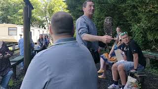 Turbary Woods Owl amp Bird of Prey Sanctuary  Large Grey Owl Display 12  Preston  June 2021 [upl. by Saref]