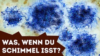 Was passiert wenn du versehentlich Schimmel isst [upl. by Lisa]