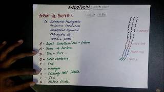 Microbiology Endotoxin [upl. by Ramona920]