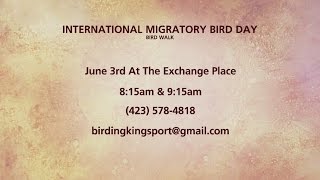 International Migratory Bird Day Bird Walk [upl. by Irrok]