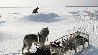 Счастливые люди  Енисей  Зима серия 4  Дмитрий Васюков [upl. by Eatnwahs]