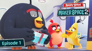 Angry Birds Toons  Full Metal Chuck  S1 Ep3 [upl. by Benjie424]