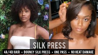 Silk Press on Type 4a4b Natural Hair [upl. by Vaden801]