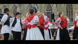 Eidgenössisches Trachtenfest 2024 🇨🇭Zürich mit Potzmusig Live [upl. by Ariadne]