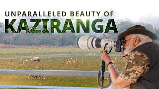 Exploring Assams rich biodiversity PM Modi at Kaziranga National Park [upl. by Zakarias798]