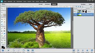 Freistellen in Photoshop Elements 09  Freistellen von Bäumen  mit diesen Tricks eine Leichtigkeit [upl. by Annawat402]