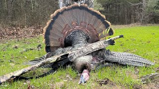 Tennessee Spring Turkey Youth Hunt 2024 [upl. by Anom]