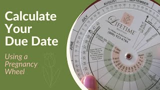 How to Use Pregnancy Wheels to Calculate Your Due Date [upl. by Allyce]