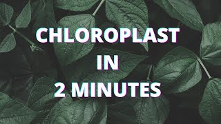 Chloroplast  2 Minute Biology Series [upl. by Austen]