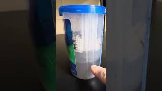 DampRid Review  60 Days of Use Full Container [upl. by Ioves]