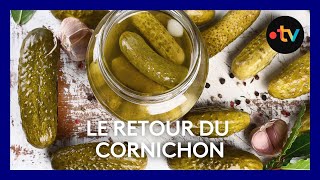 Le cornichon made in LoiretCher [upl. by Eimarej]