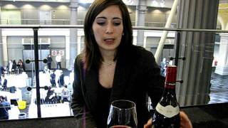 Nuits St George Wine Tasting Domain Moillard [upl. by Spatola]