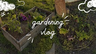 homestead gardening vlog garden tour [upl. by Ahsinehs623]