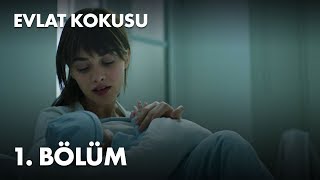 Evlat Kokusu 1 Bölüm  Full Bölüm [upl. by Ahsitil]