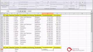 Excel Tutorial Spezialfilter [upl. by Nikolos]