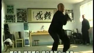 Liu He Tanglang Master Zhang Yukun [upl. by Tare]