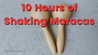 Shaking Maracas For 10 Hours Straight  Musical Instruments With Peter Baeten [upl. by Tadeo]