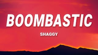 Shaggy  Mr Boombastic Lyrics [upl. by Wilmar140]