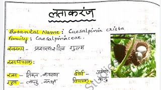 Latakaranja  Caesalpinia Crista  Plant All Details  Dravyaguna Vigyan Plant lecture and Notes [upl. by Mraz872]