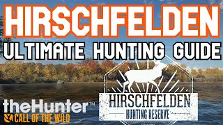 Hirschfelden Ultimate Hunting Guide  theHunter Call of the Wild [upl. by Margret860]