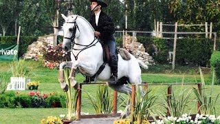 Working Equitation a Fun Way to Train Seriously  Pedro Neves clinic [upl. by Hairahcez]