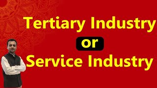 Tertiary Industry amp Service Industries  Meaning and examples  Class 11 Business Studies [upl. by Ardy]