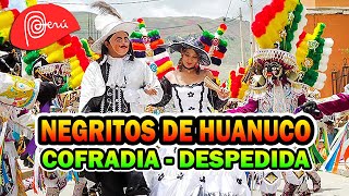 LOS NEGRITOS DE HUÁNUCO  COFRADIA  DESPEDIDA 100 PERÚ ♫ [upl. by Avle661]