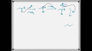 imine formation mechanism [upl. by Laurinda]