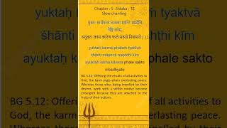 Bhagavad Gita Shloka A Day  Divine Prayers bhagavadgita sanskritchants song hinduscripture [upl. by Calvina886]