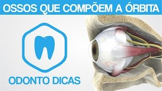 OSSOS QUE COMPÕEM A ÓRBITA  ODONTO DICAS [upl. by Berkman]