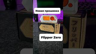 Flipper Zero теперь поддерживает JavaScript [upl. by Leorsiy]