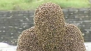 Man breaks Guinness record for the longest time spent covered in bees [upl. by Malonis800]