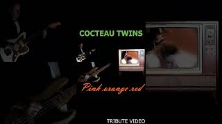 COCTEAU TWINS  PINK ORANGE RED Tribute video [upl. by Aimej]