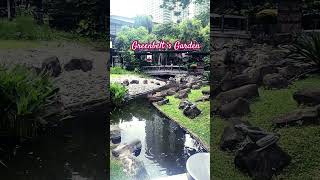 Greenbelt’s Garden  MicMhay Vlog greenbelt garden mall makati shorts koifish koi shorts [upl. by Hudson625]