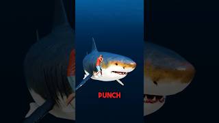 How To Survive A Shark Attack 😳 [upl. by Pacien]