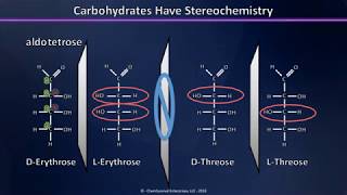 A Brief Introduction to Carbohydrates Aldoses Ketoses and their Stereochemistry Explained [upl. by Irihs]